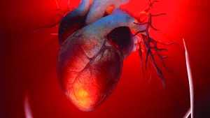 Eisenmenger Sendromu