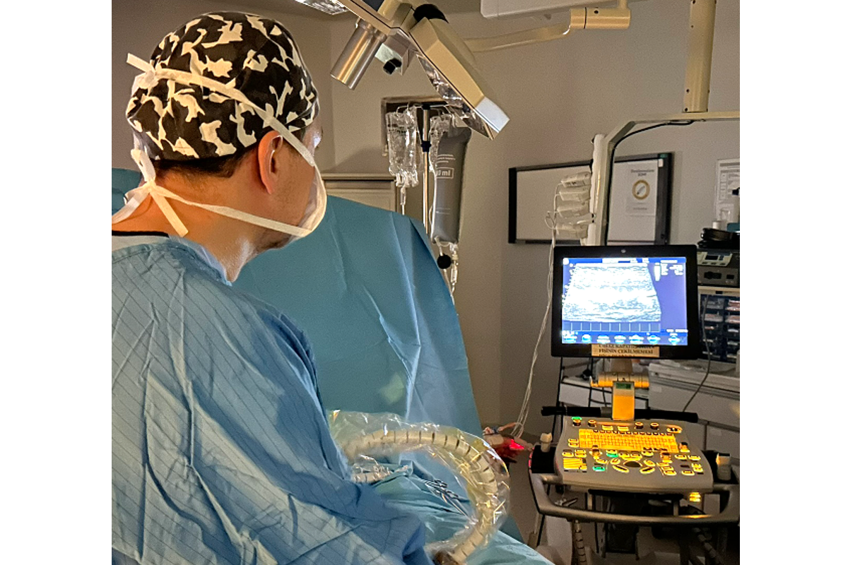 Doç. Dr. Ahmet Arnaz