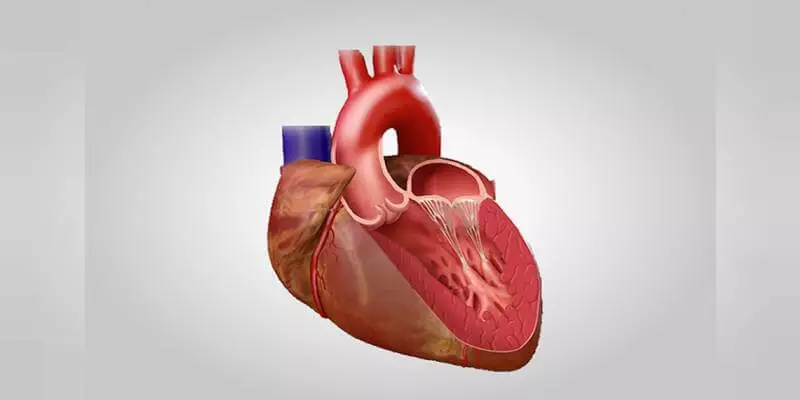 Kalp Kapağı Hastalığı